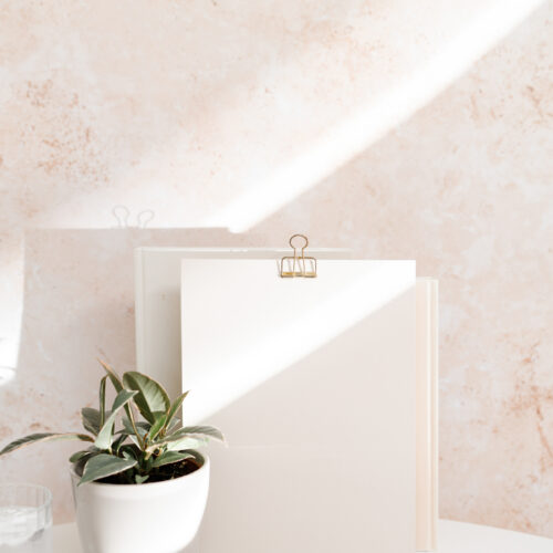 plant water and papers for personal growth